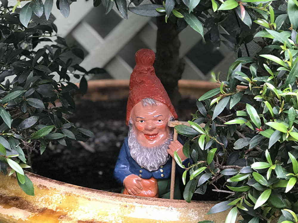 A History of the Garden Gnome